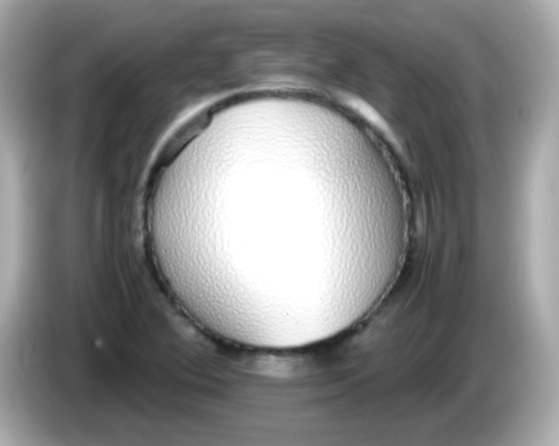 X0000085791364200704091422