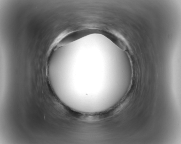 X0000085791365200704091422