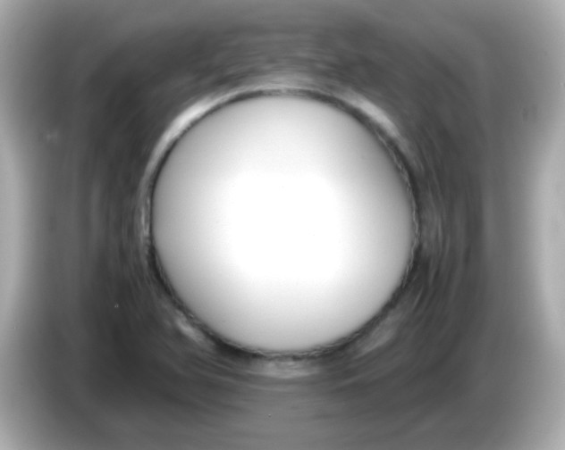 X0000085791366200704091422