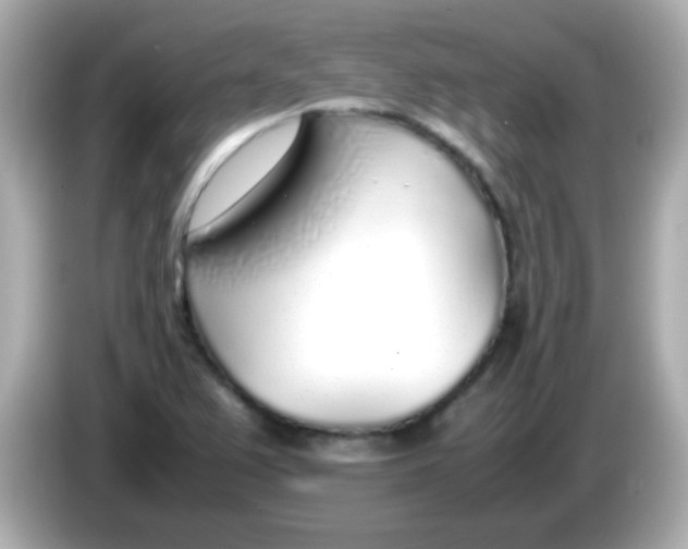 X0000085791367200704091422