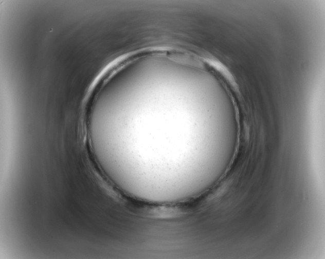 X0000085791368200704091422