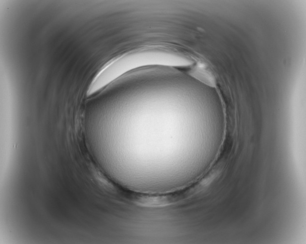 X0000085791369200704091422