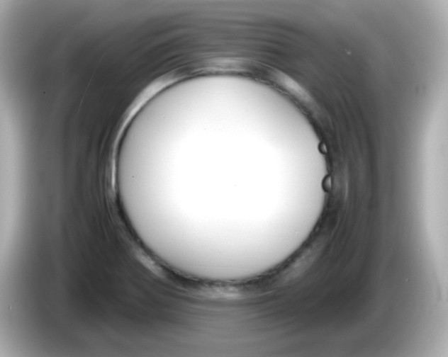 X0000085791370200704091422