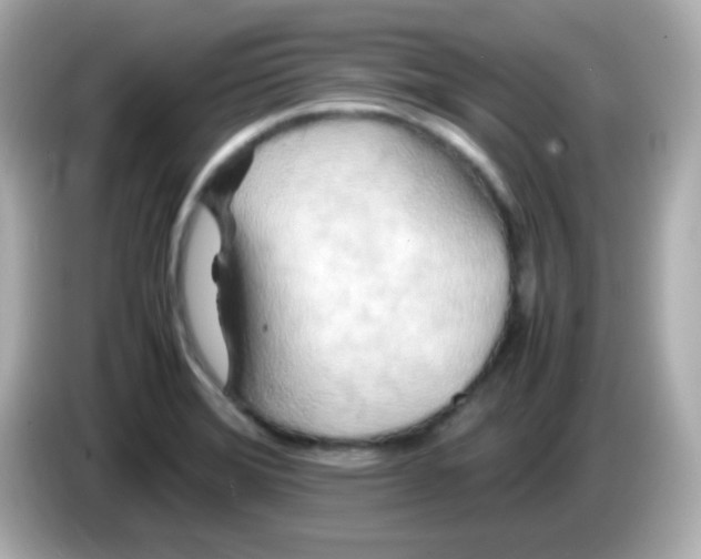 X0000085791372200704091422