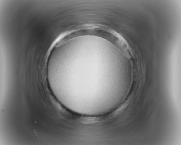 X0000085791373200704091422