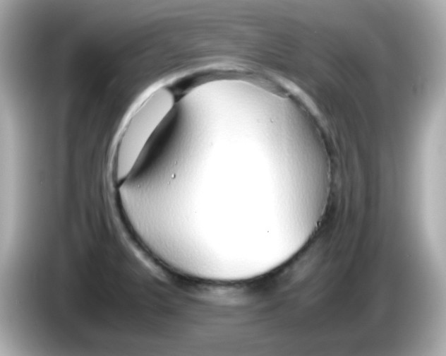 X0000085791375200704091422