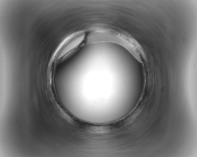 X0000085791376200704091422
