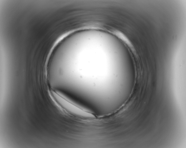X0000085791380200704091422