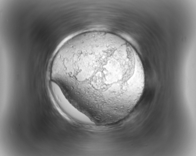 X0000085791383200704091422