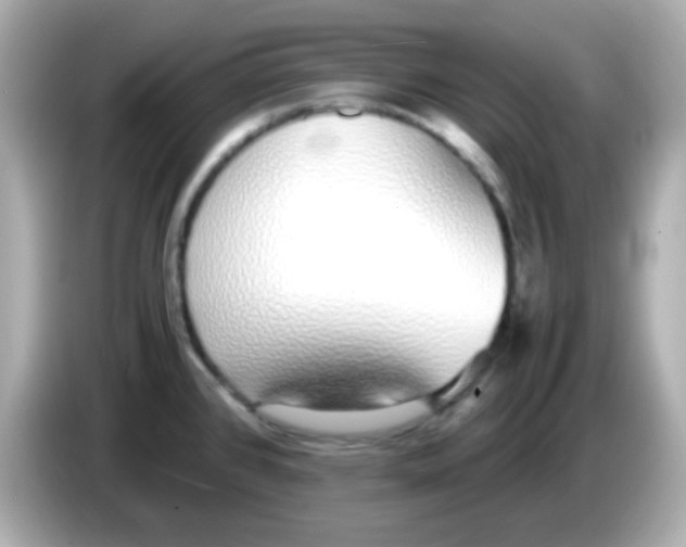 X0000085791384200704091422