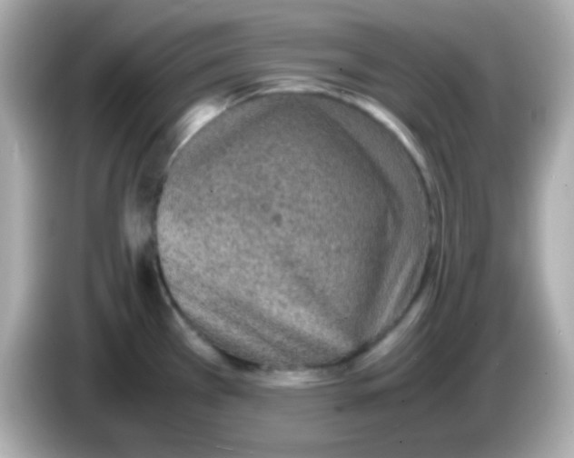 X0000085791385200704091422