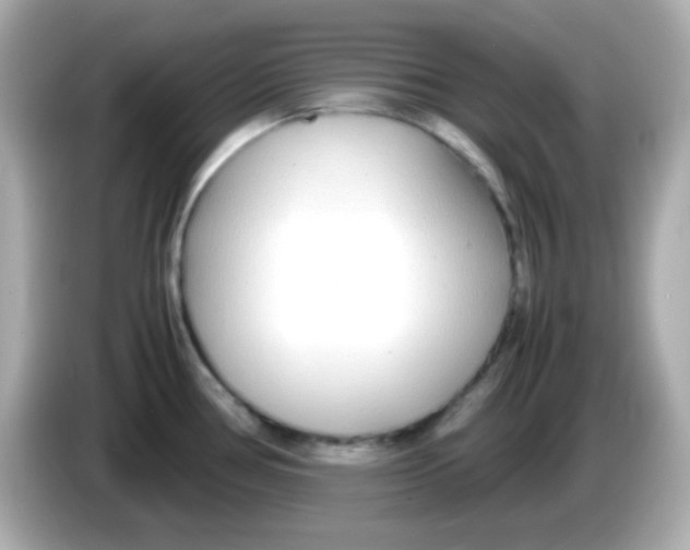 X0000085791386200704091422