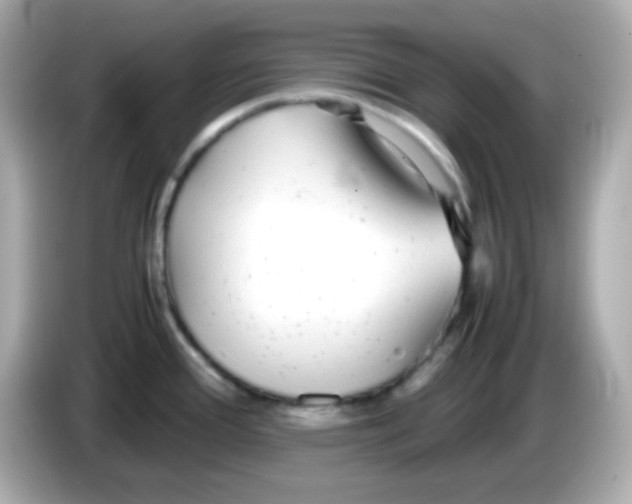 X0000085791388200704091422