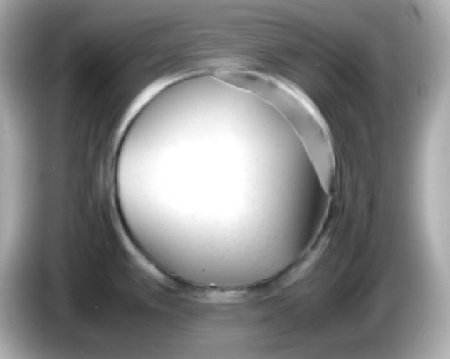X0000085791389200704091422
