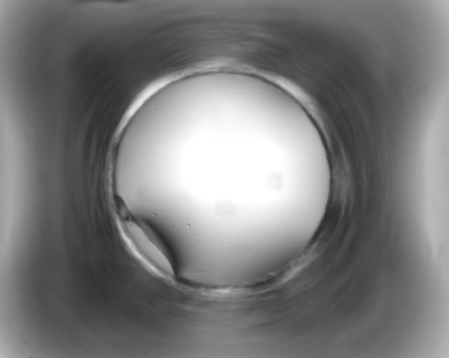X0000085791390200704091422
