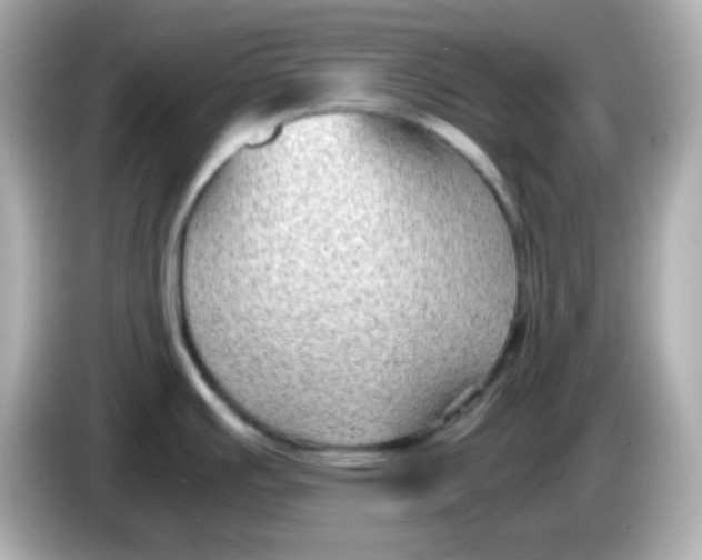 X0000085791391200704091422