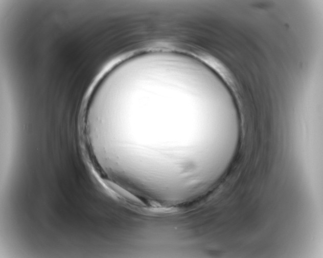 X0000085791392200704091422