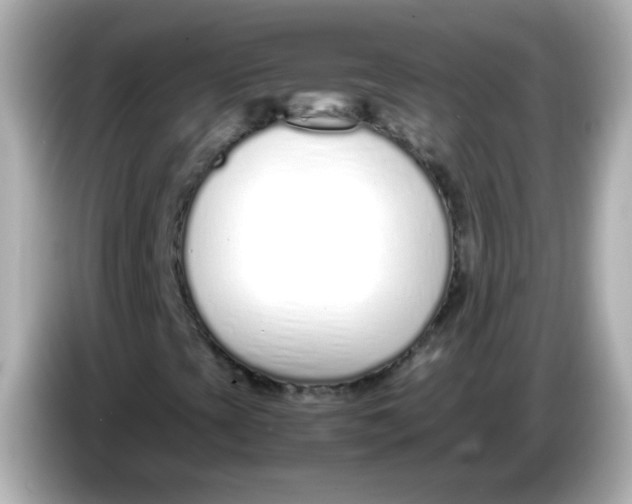 X0000085791393200704091421