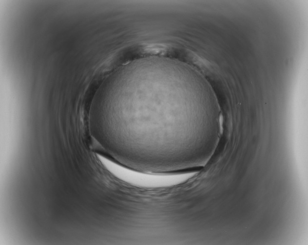 X0000085791394200704091422