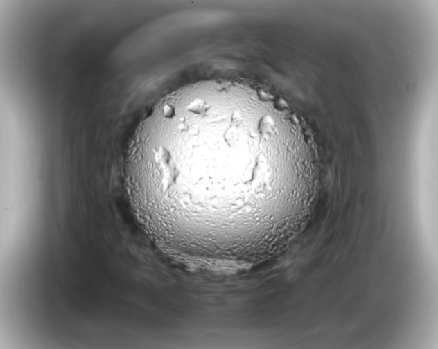 X0000085791397200704091422