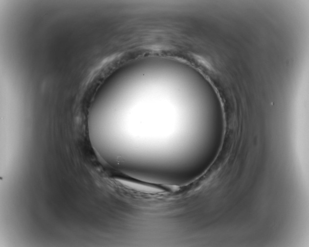X0000085791398200704091422