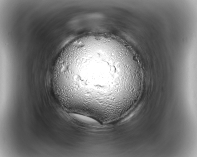 X0000085791401200704091422