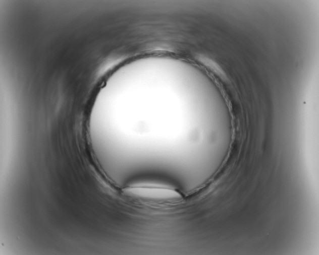 X0000085791404200704091422
