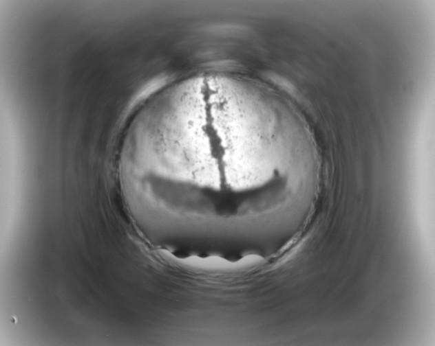 X0000085791405200704091422