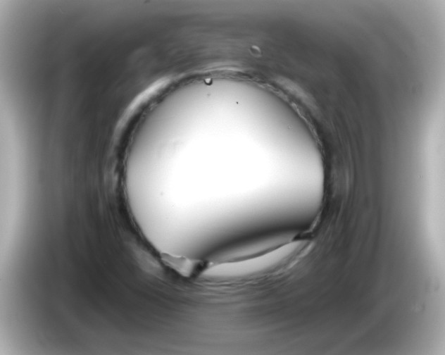 X0000085791406200704091422