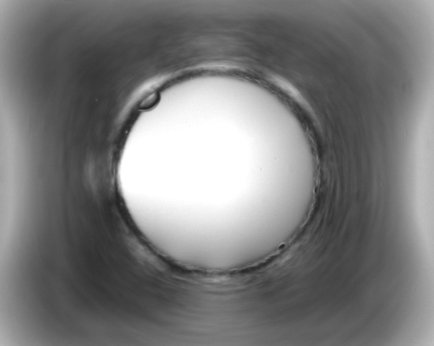 X0000085791408200704091422
