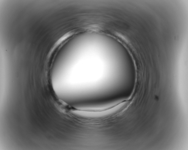 X0000085791410200704091422