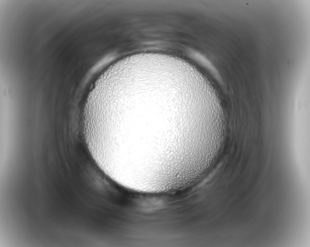 X0000085791411200704091422