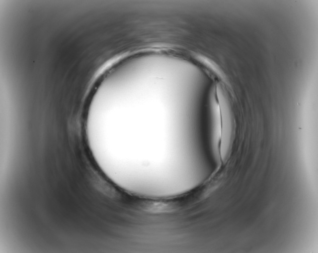X0000085791412200704091422