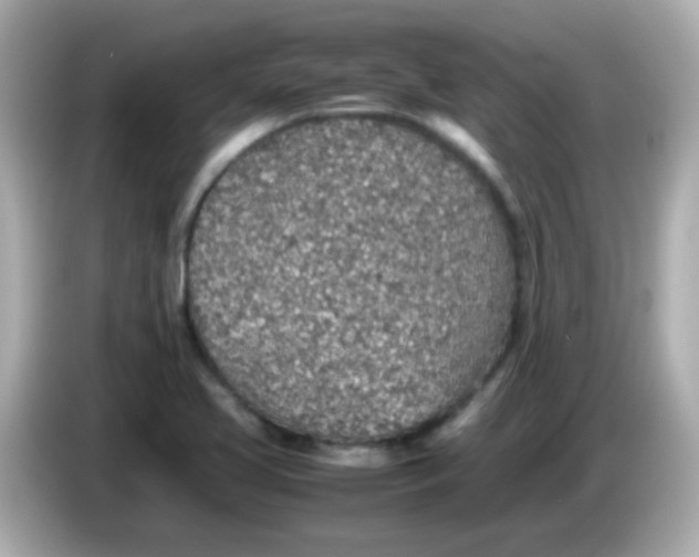 X0000085791413200704091422