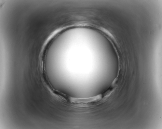 X0000085791414200704091422