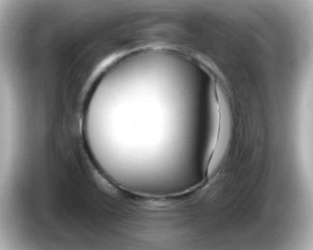 X0000085791416200704091422