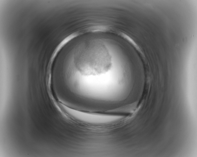 X0000085791418200704091422