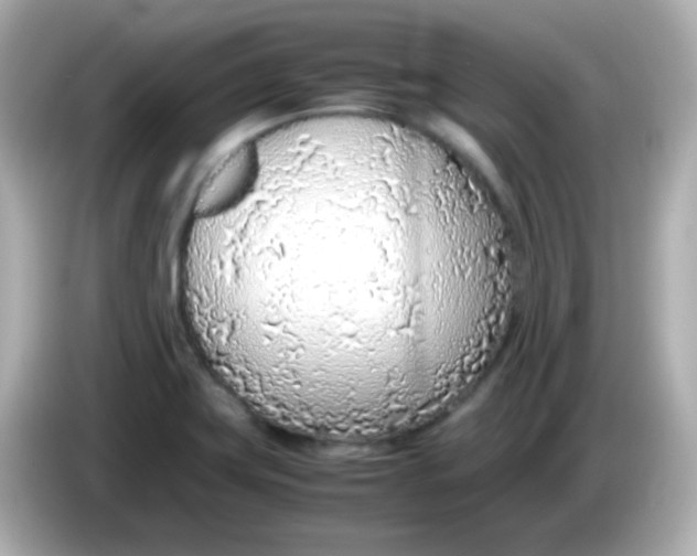 X0000085791419200704091422