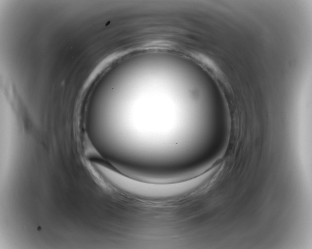 X0000085791422200704091422