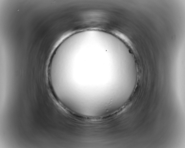 X0000085791423200704091422