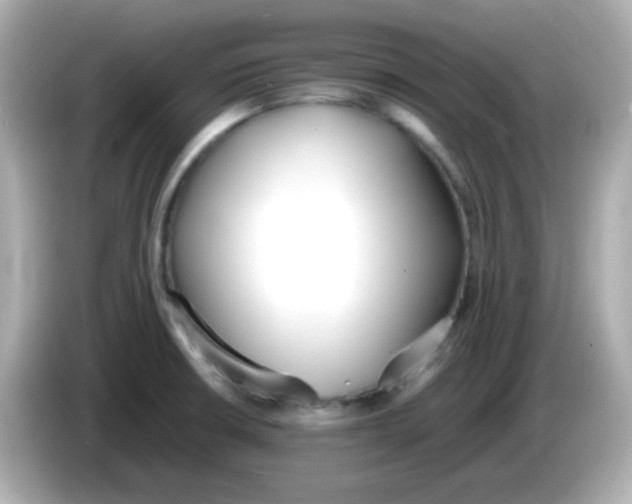 X0000085791426200704091422