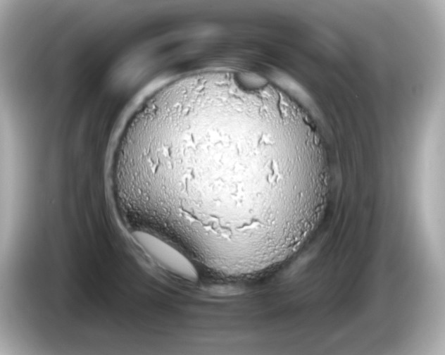 X0000085791427200704091422