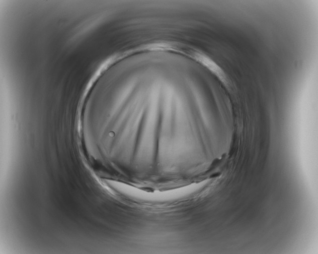 X0000085791428200704091422