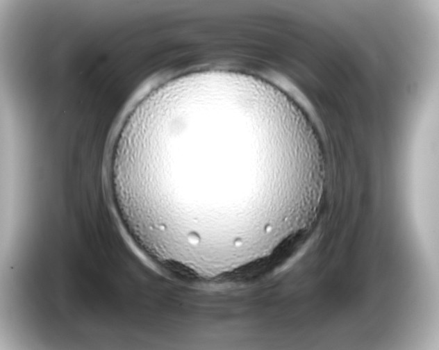 X0000085791429200704091422