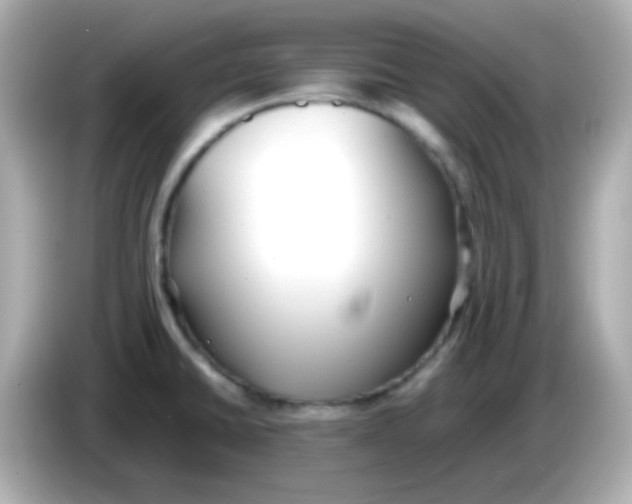 X0000085791430200704091422
