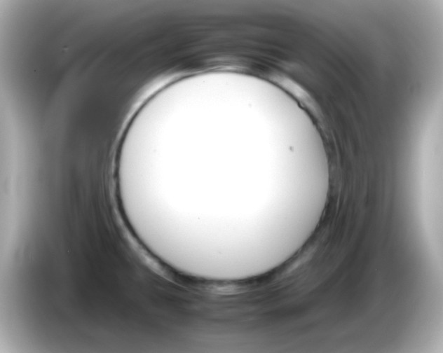 X0000085791431200704091422