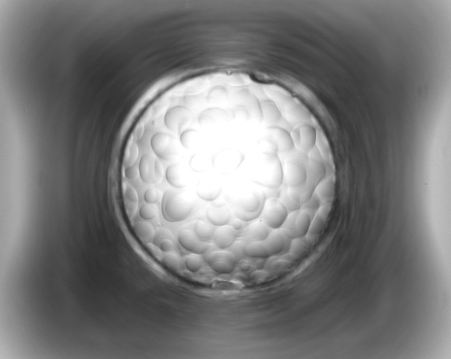 X0000085791432200704091422