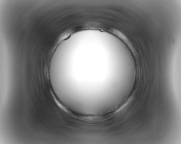 X0000085791433200704091422