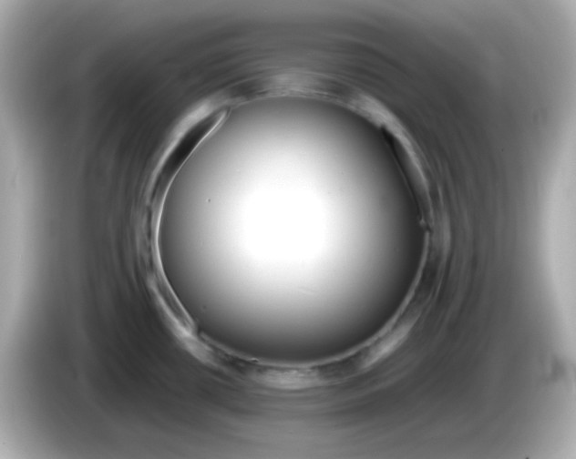 X0000085791434200704091422