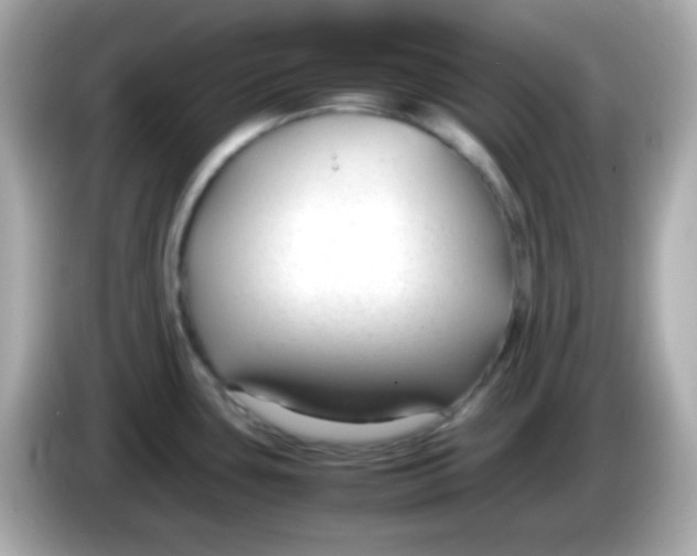 X0000085791435200704091422
